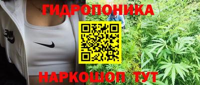 гашик Тулун