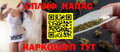 гашик Тулун