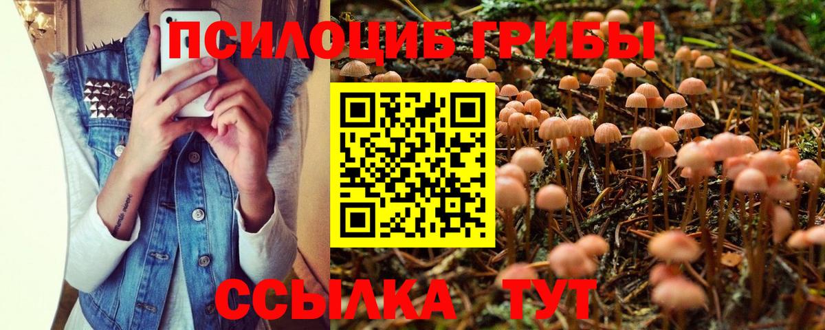 Галлюциногенные грибы GOLDEN TEACHER  Вход с VPN  где можно купить наркотик  Артёмовский 