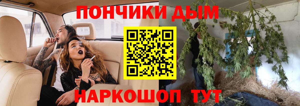 Бошки марихуана OG Kush  Вход с VPN  Артёмовский  Бошки Шишки марихуана  Марихуана сатива 